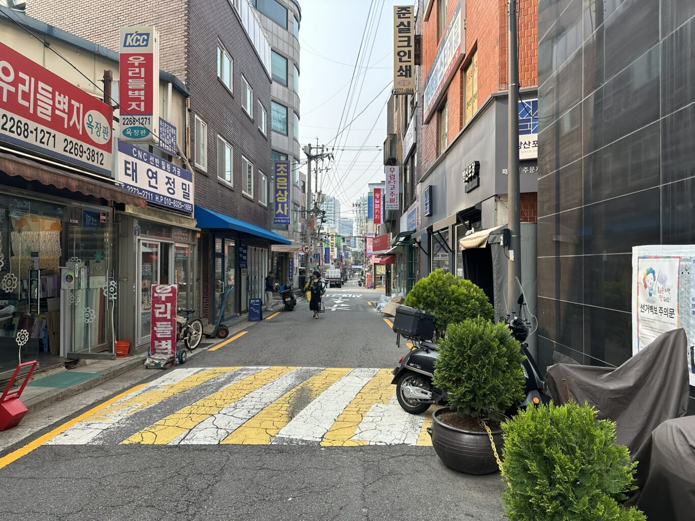 삼보호프 가는길 사진
