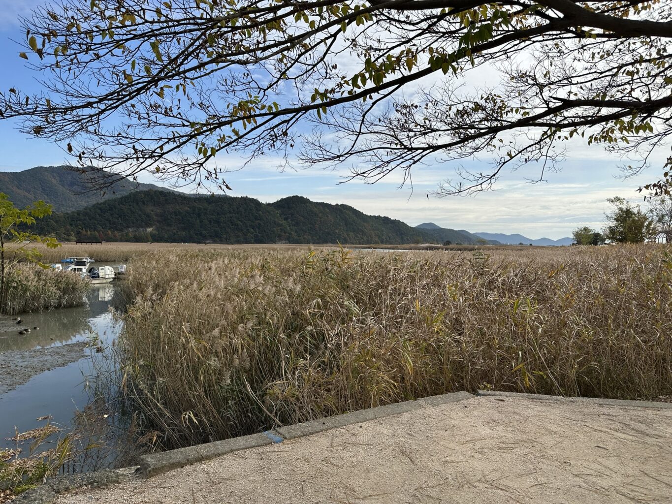 IMG 9081